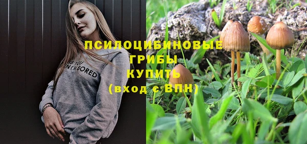 крисы Балахна