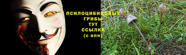 mix Баксан